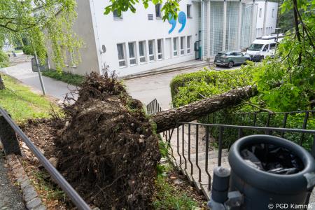 Stanje na terenu (8)